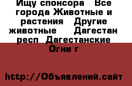 Ищу спонсора - Все города Животные и растения » Другие животные   . Дагестан респ.,Дагестанские Огни г.